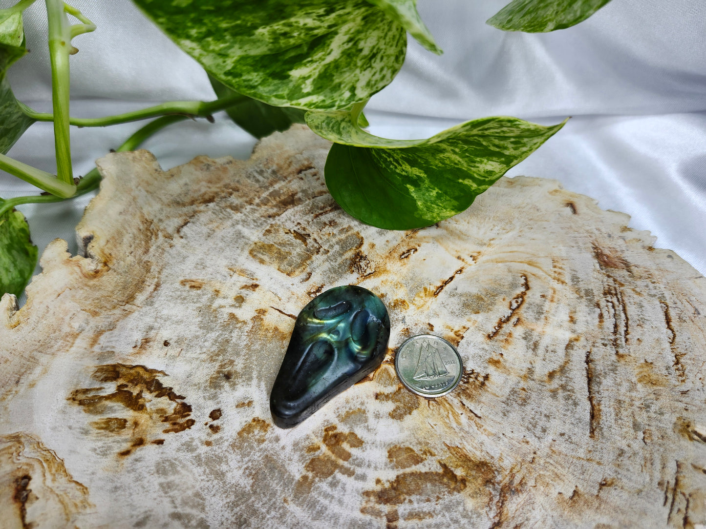 LABRADORITE SCREAM FACE