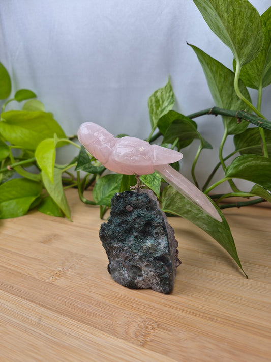 ROSE QUARTZ PARROT