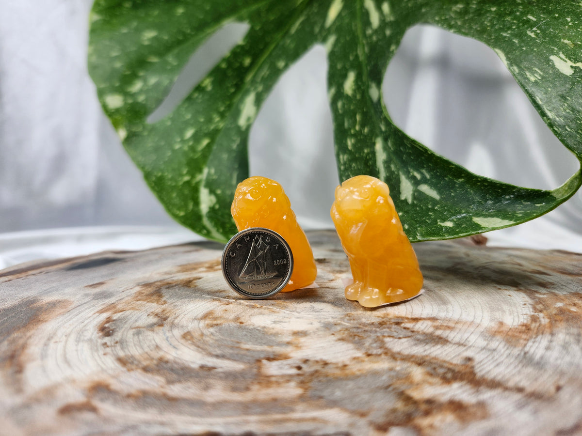 ORANGE CALCITE LION