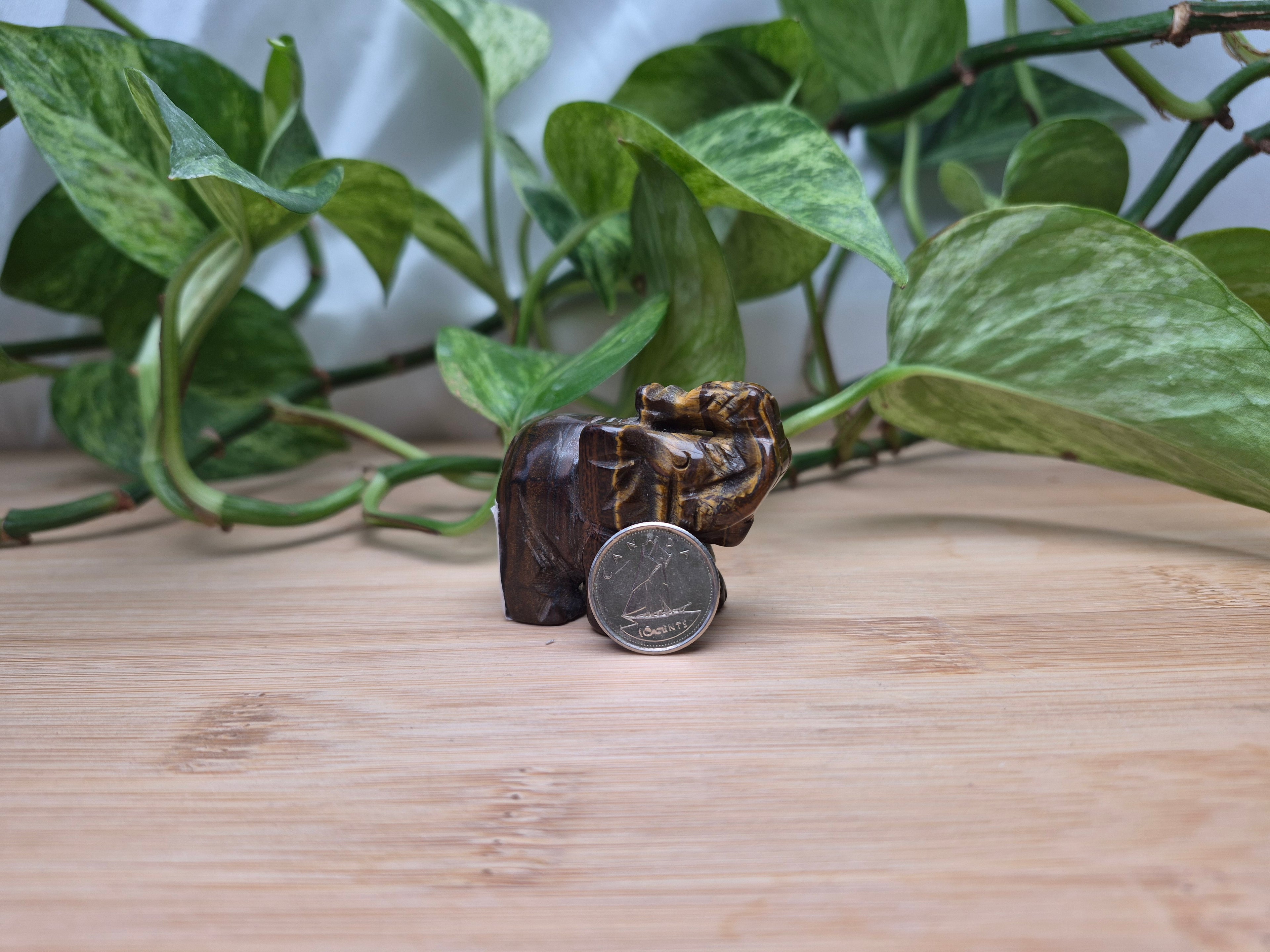 TIGERS EYE ELEPHANT