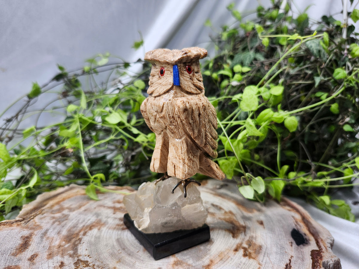 CHOCOLATE CALCITE OWL