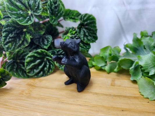 OBSIDIAN RACCOON