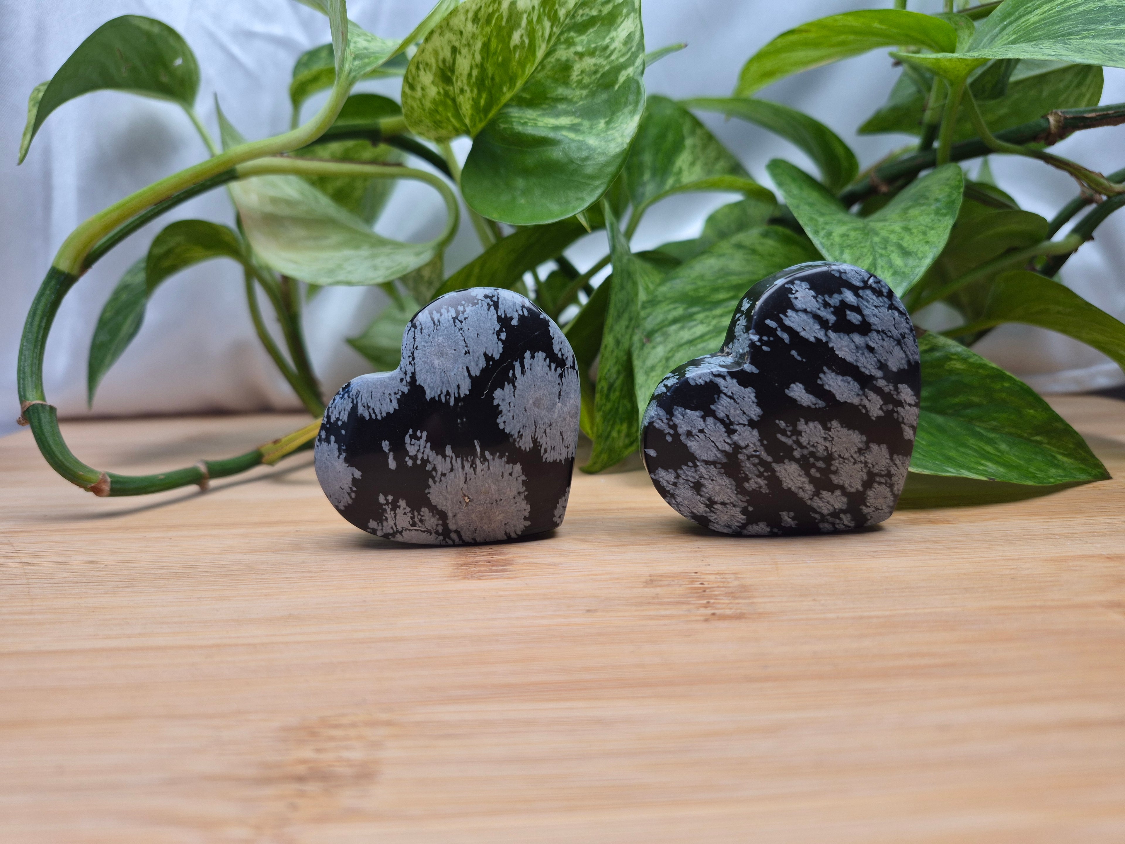 SNOWFLAKE OBSIDIAN HEART