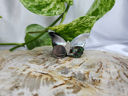 ABALONE SHELL BUTTERFLY