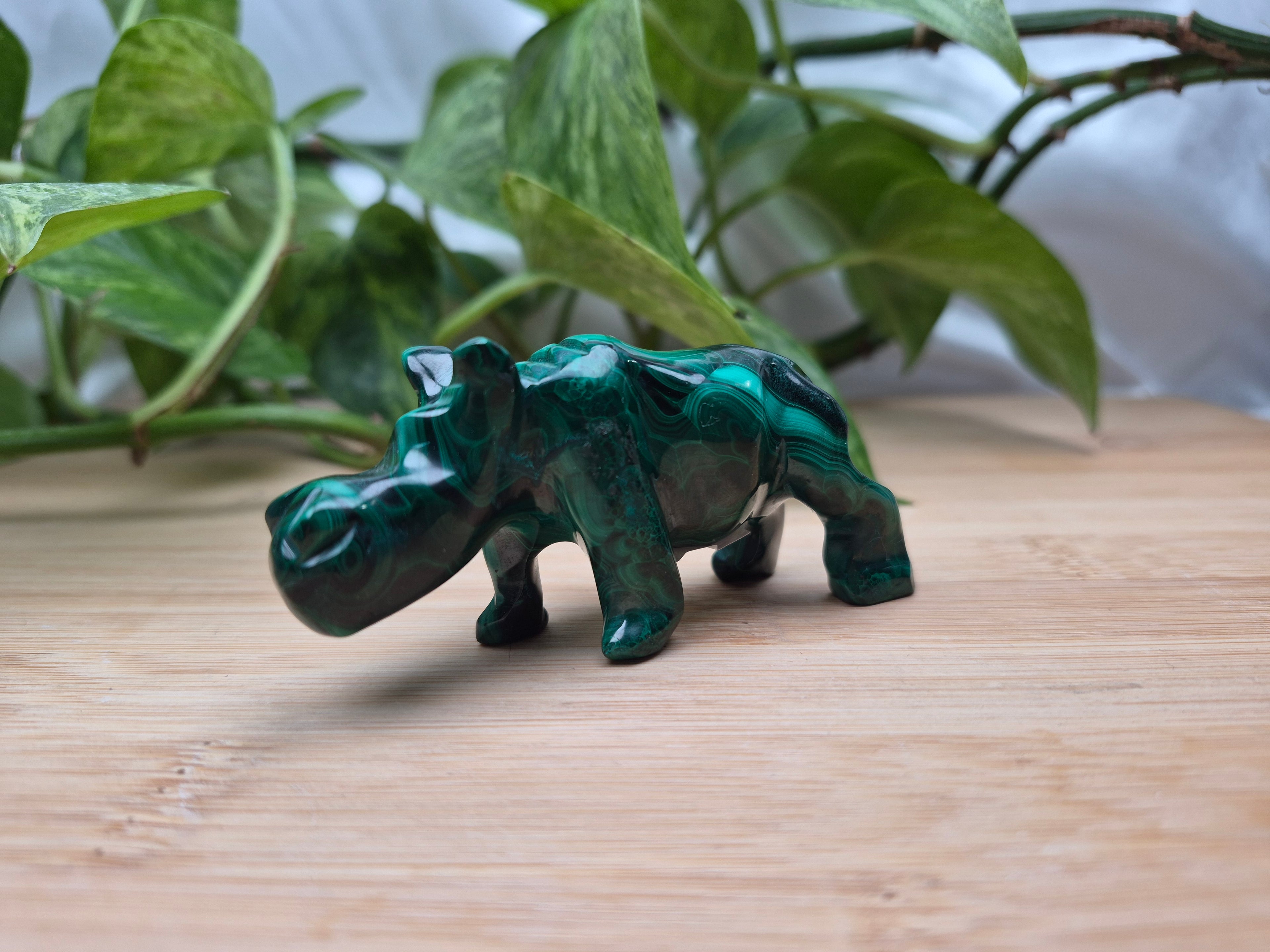 MALACHITE HIPPO