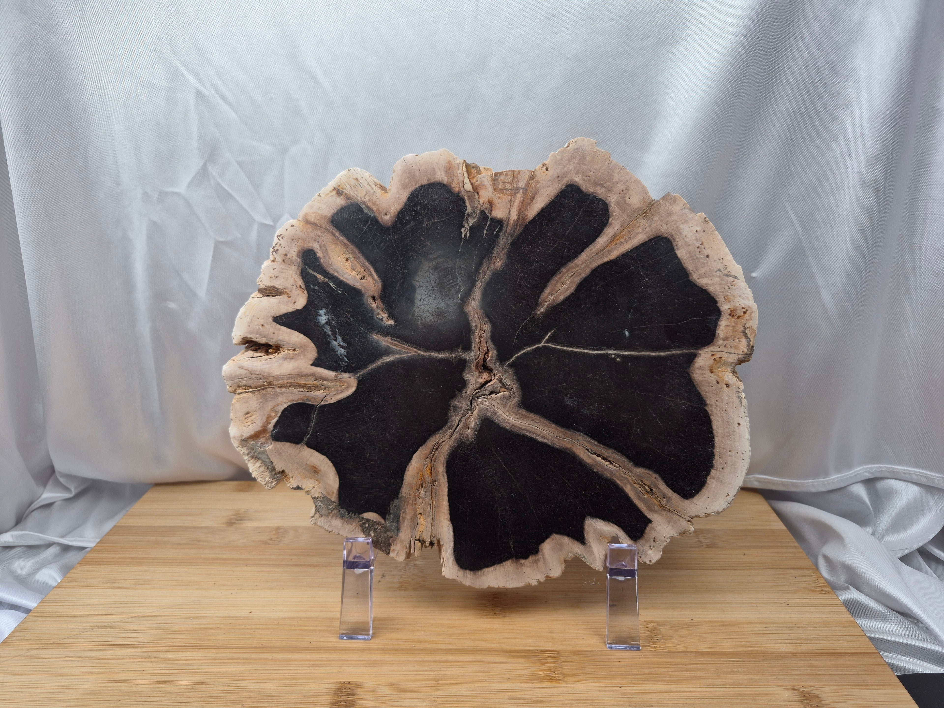 PETRIFIED WOOD SLAB 5