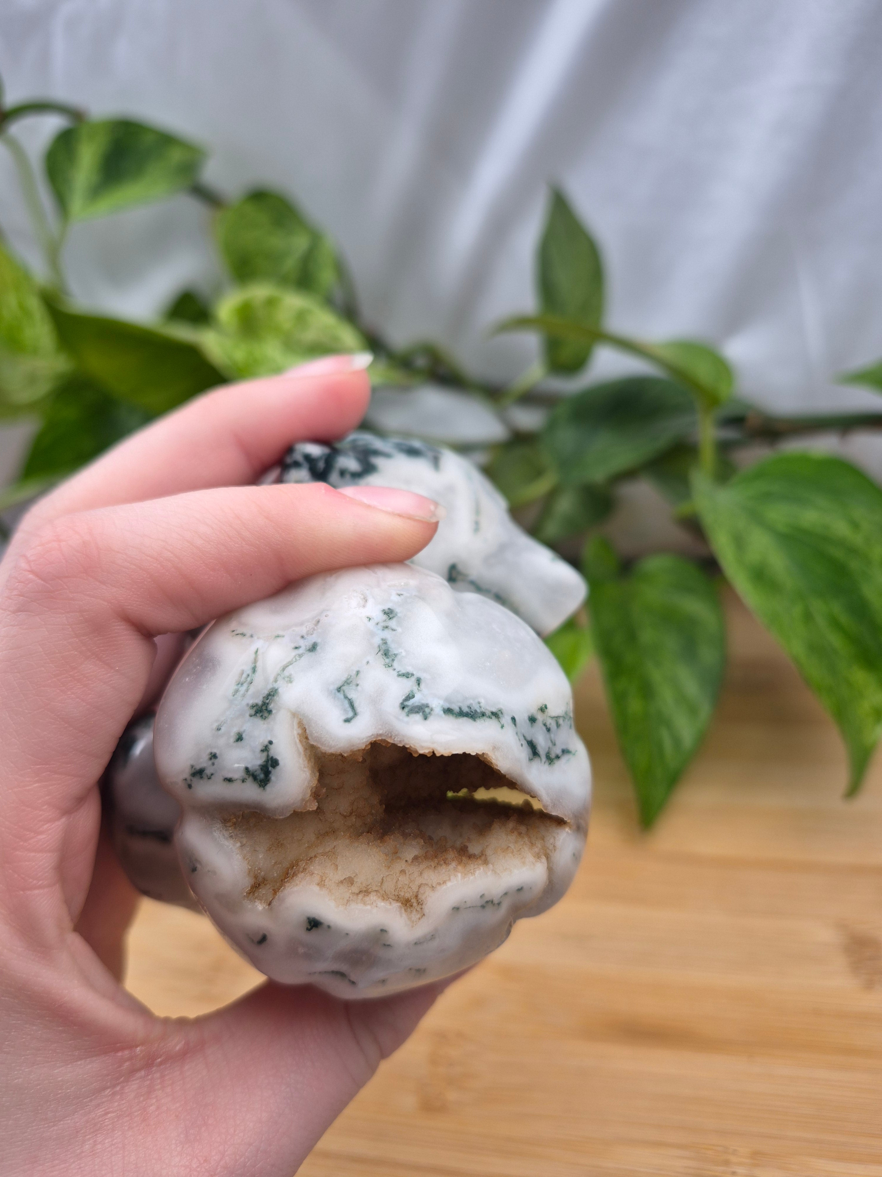 MOSS AGATE BULBASAUR XL