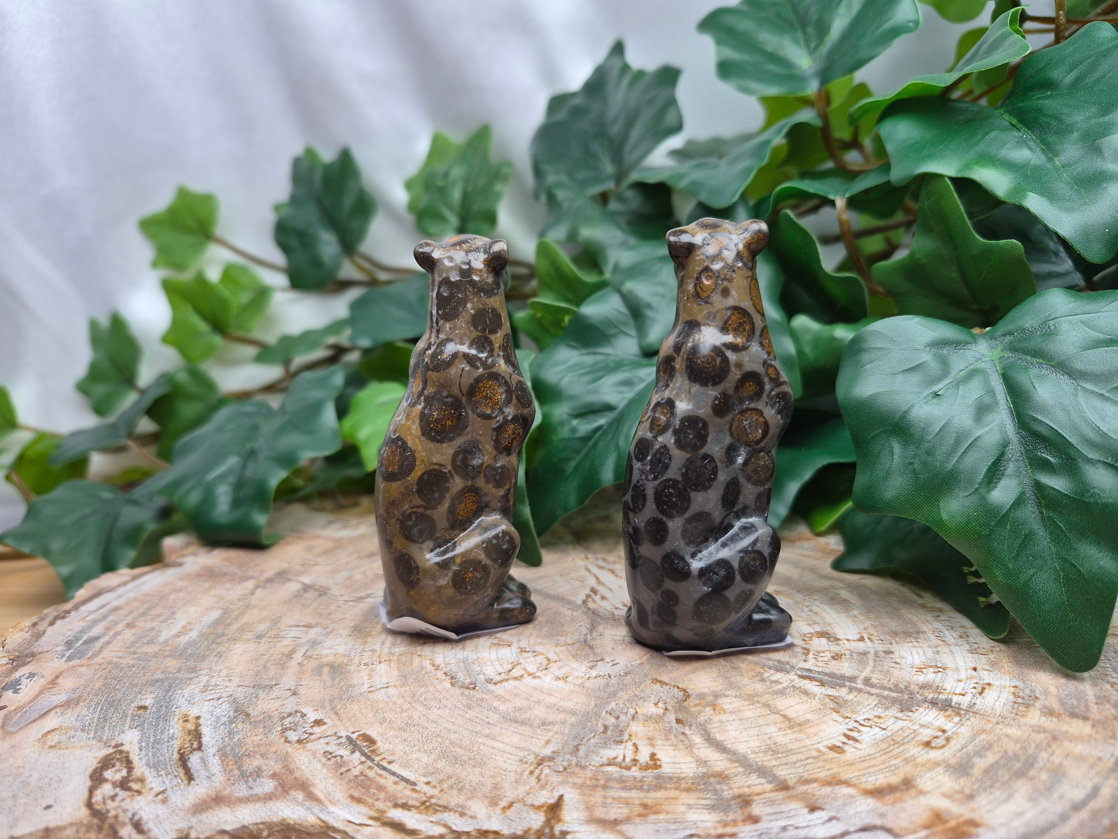 LEOPARDITE LEOPARD