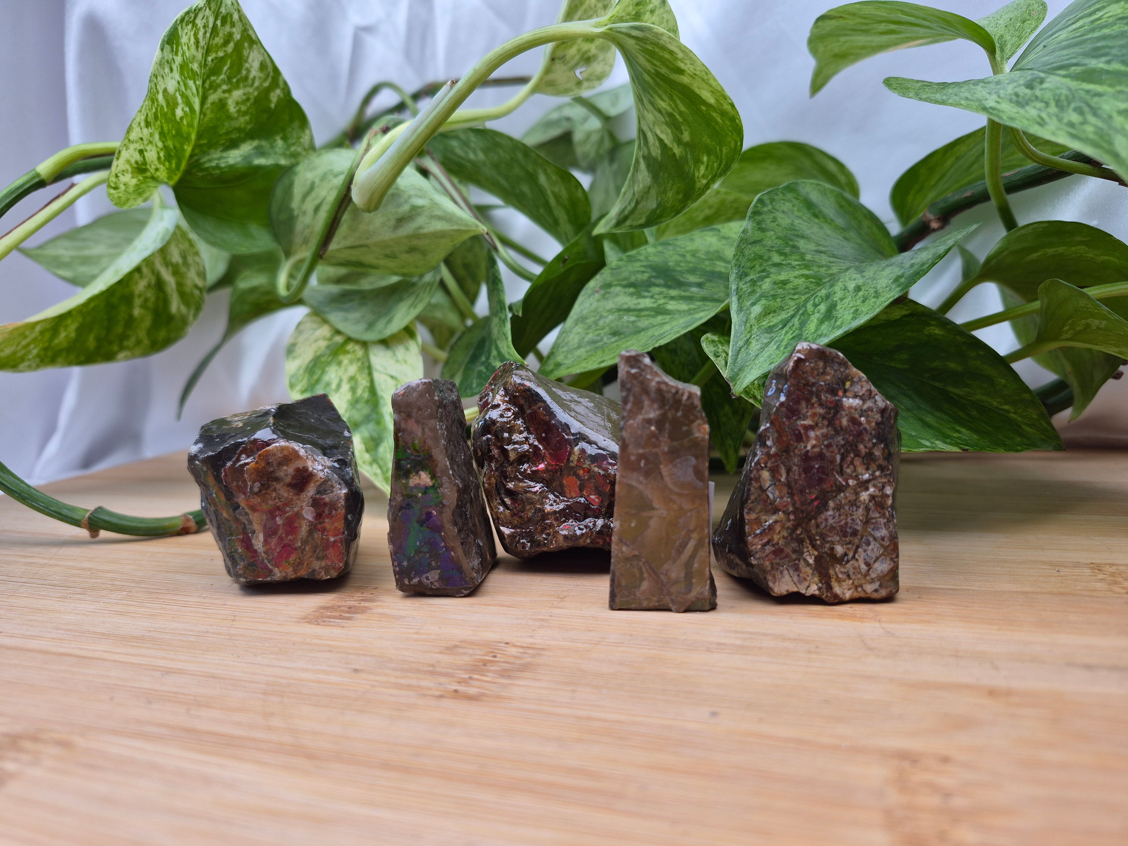 AMMOLITE ROUGH CHUNK