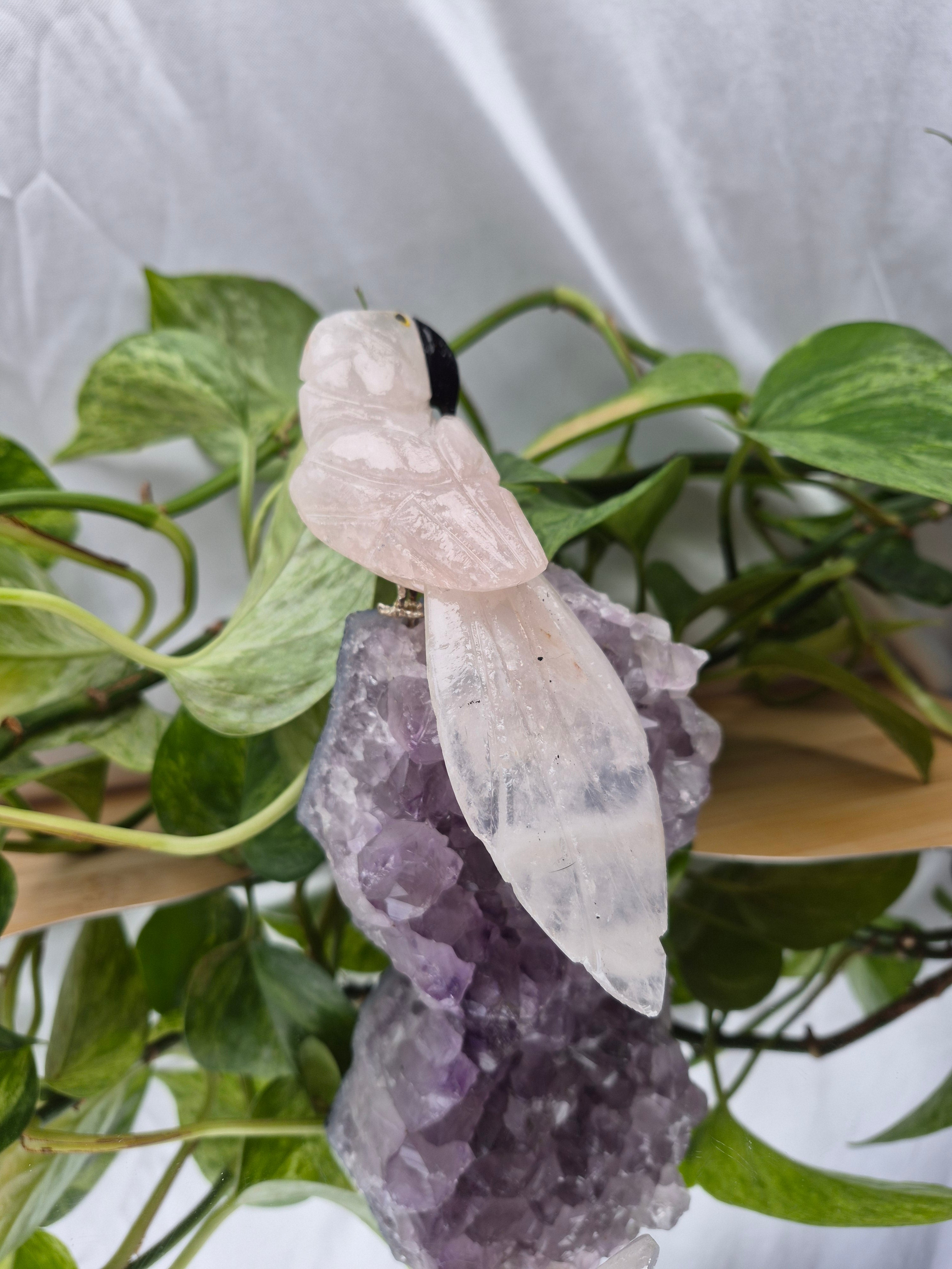 ROSE QUARTZ PARROT ON AMETHYST BASE