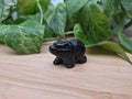 BLACK OBSIDIAN BEAR
