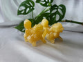 ORANGE CALCITE ARCANINE