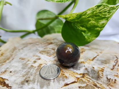 OCEAN JASPER SPHERE