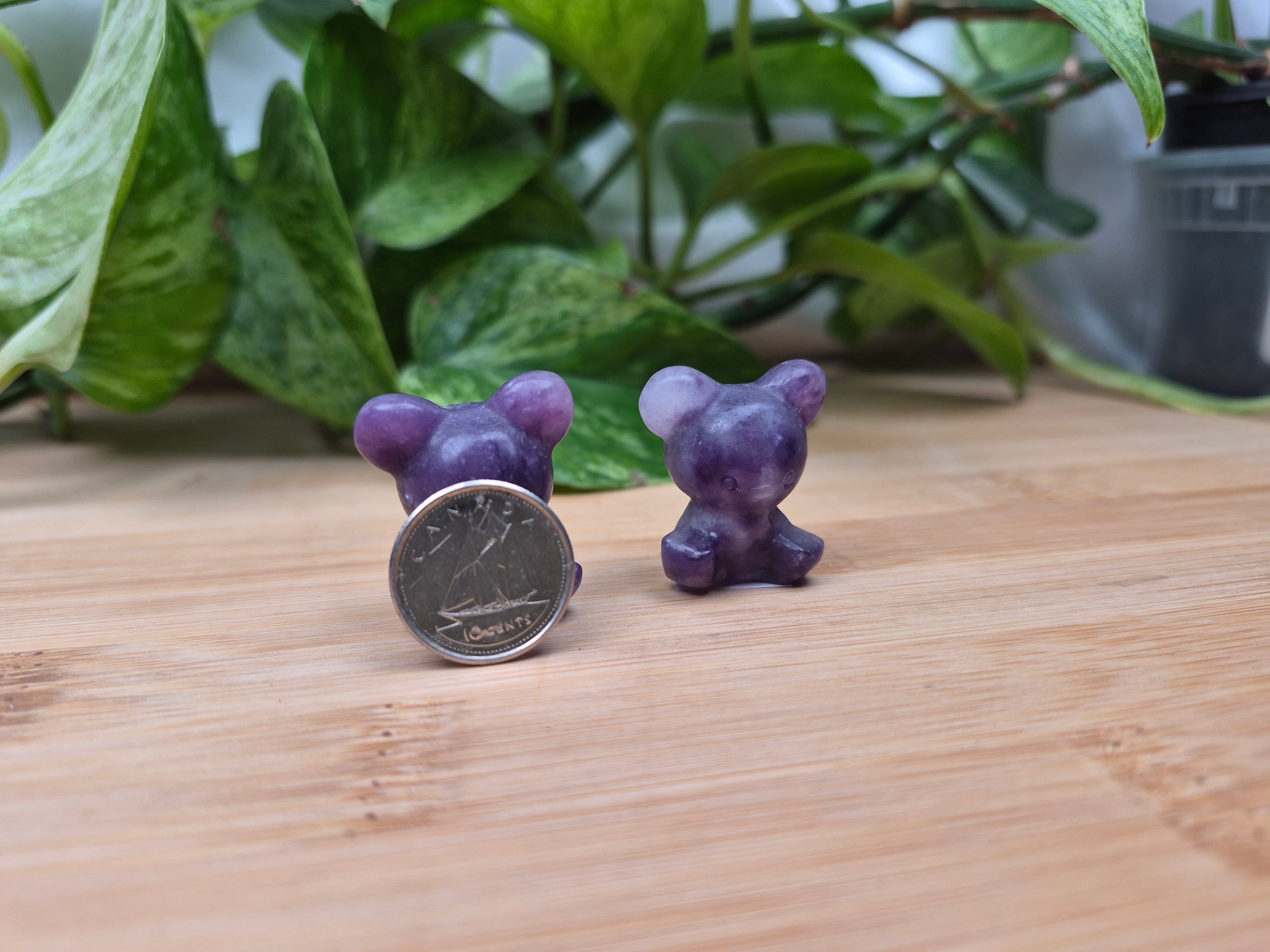LEPIDOLITE TEDDIURSA