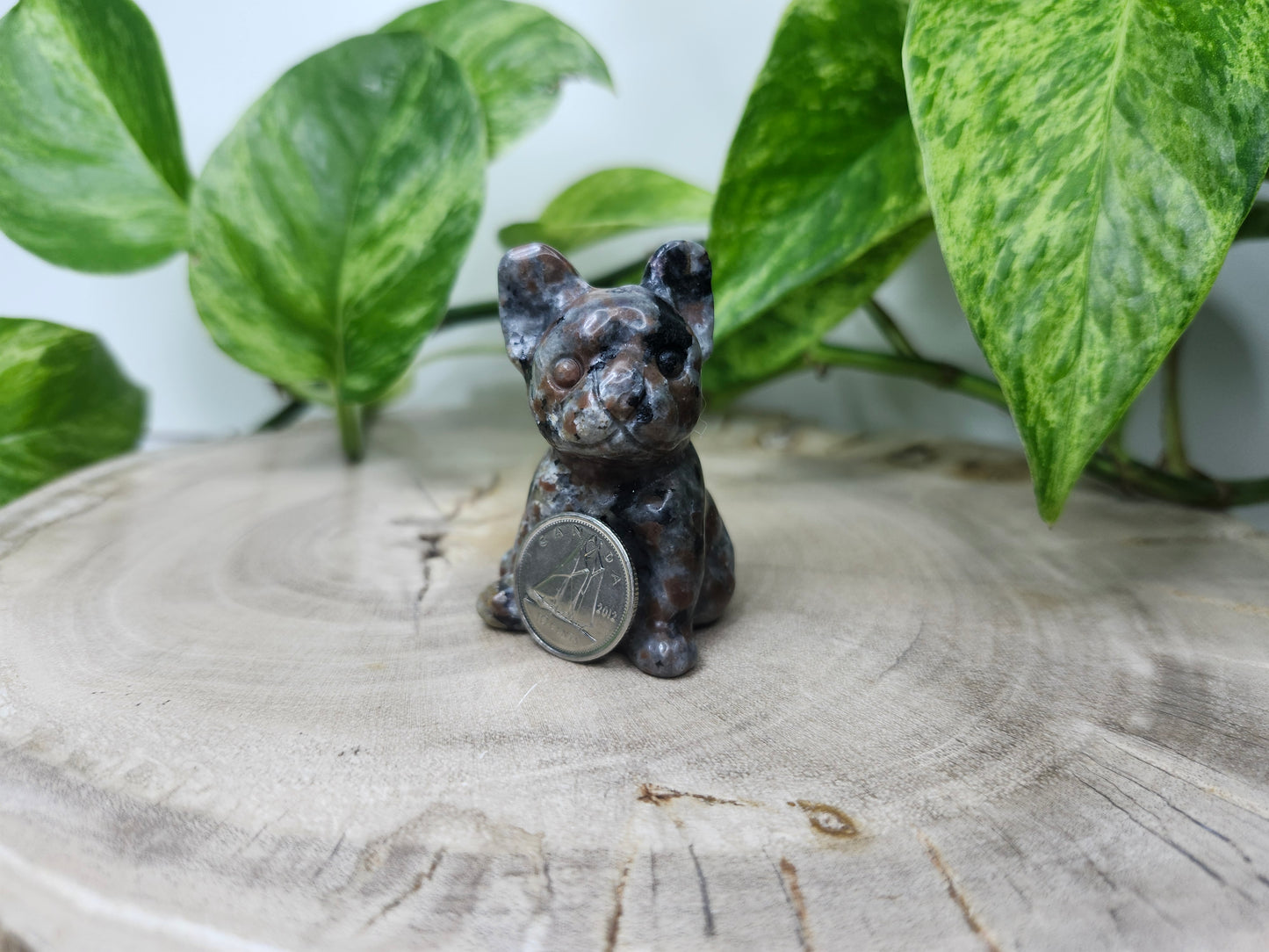 YOOPERLITE SITTING DOG