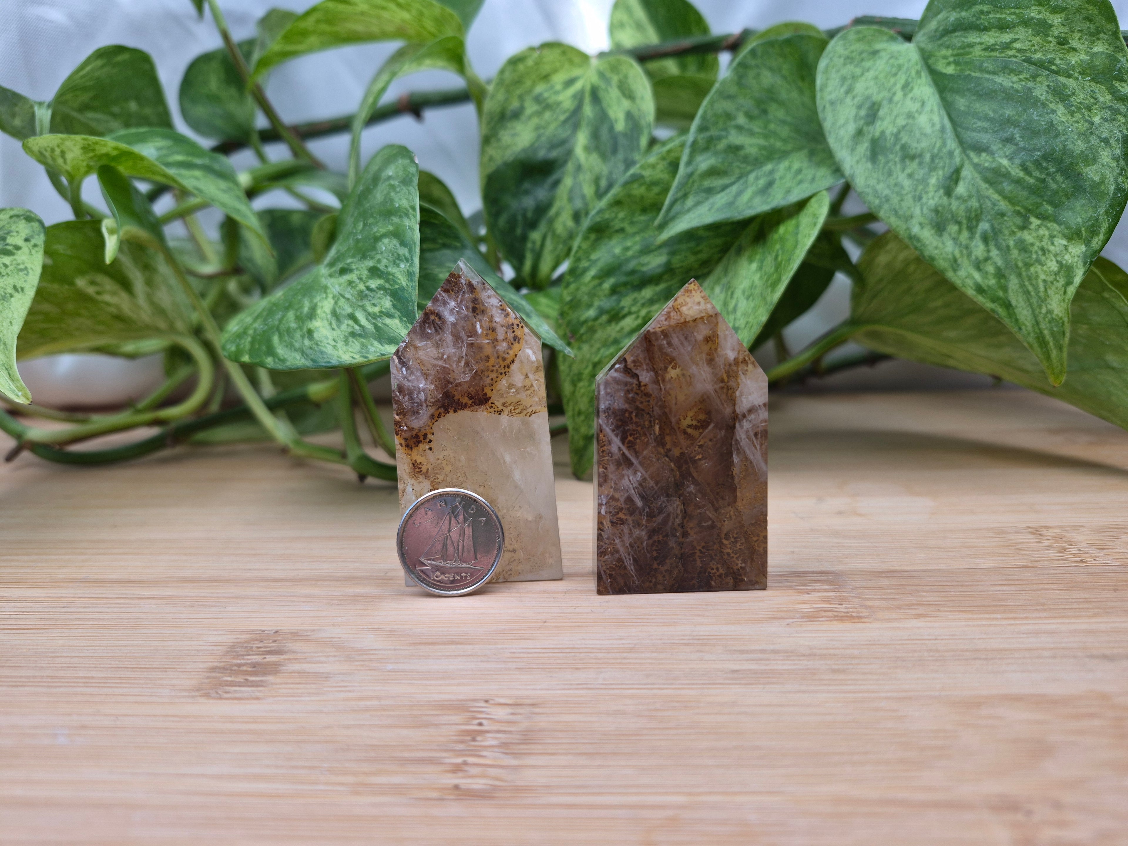 DENDRITES IN QUARTZ TOWER