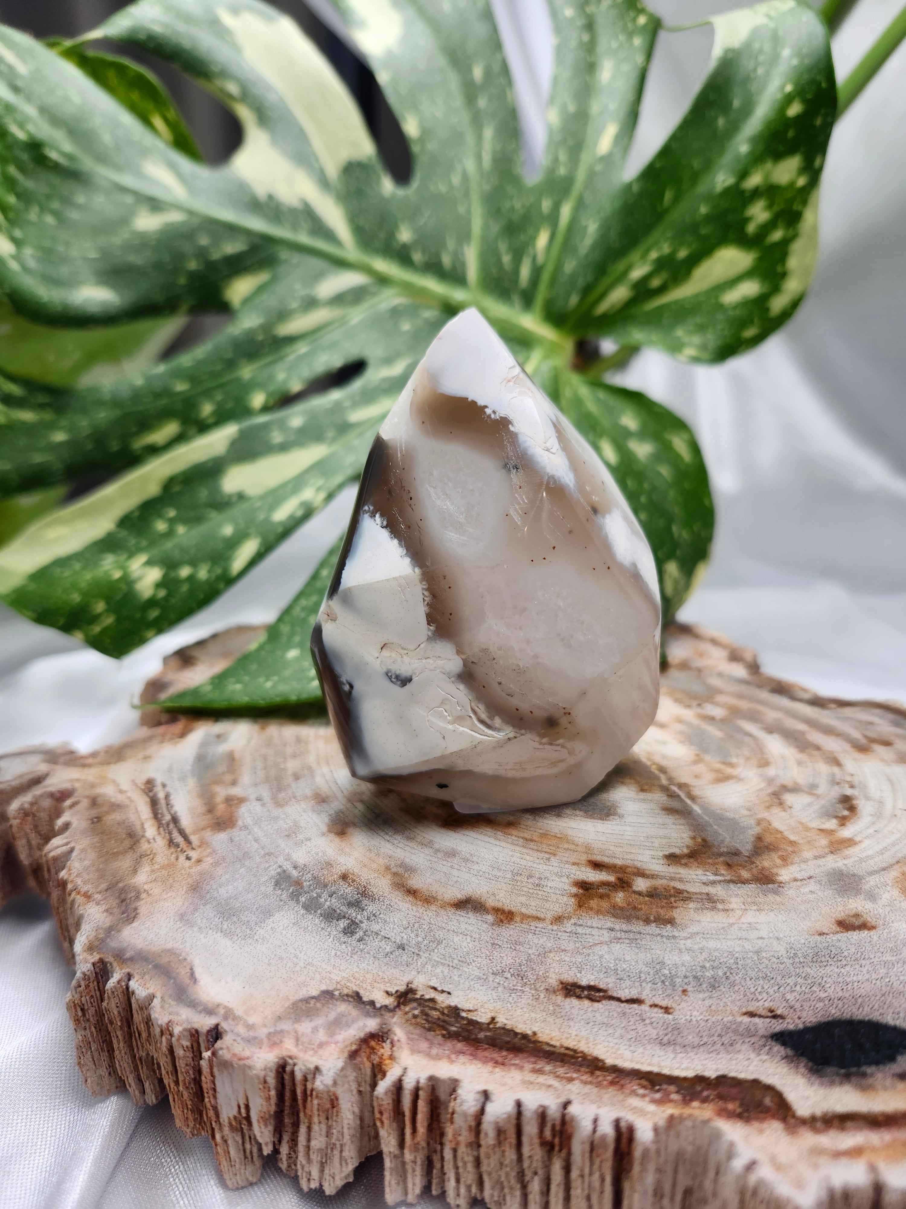ORCA AGATE FLAME