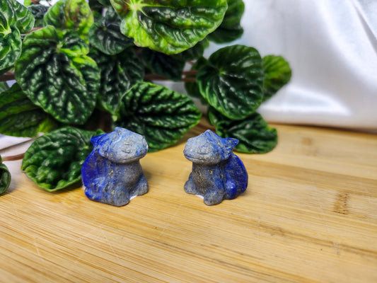 LAPIS TOOTHLESS