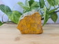 BUMBLEBEE JASPER #1