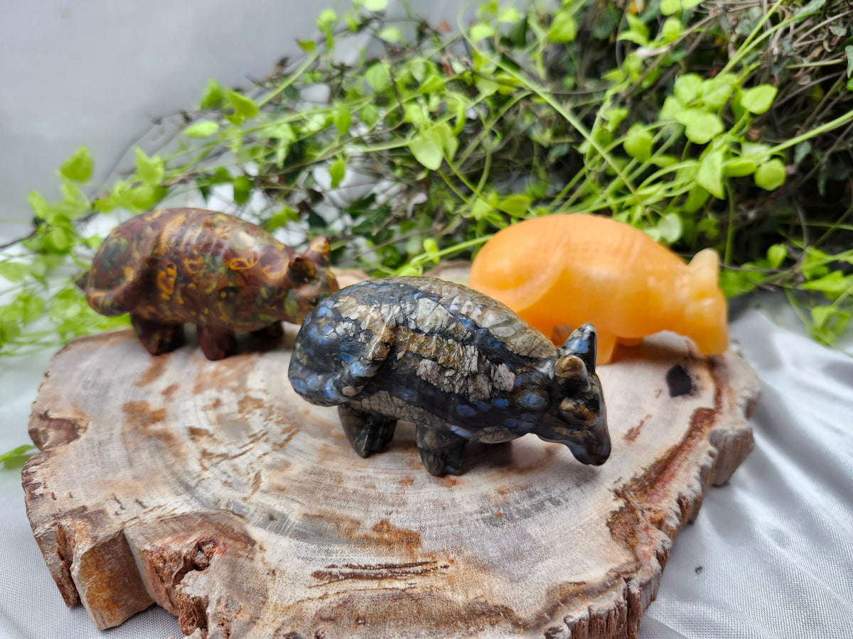 MIXED CRYSTAL ARMADILLO