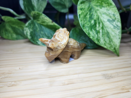 CHOCOLATE CALCITE TRICERATOPS