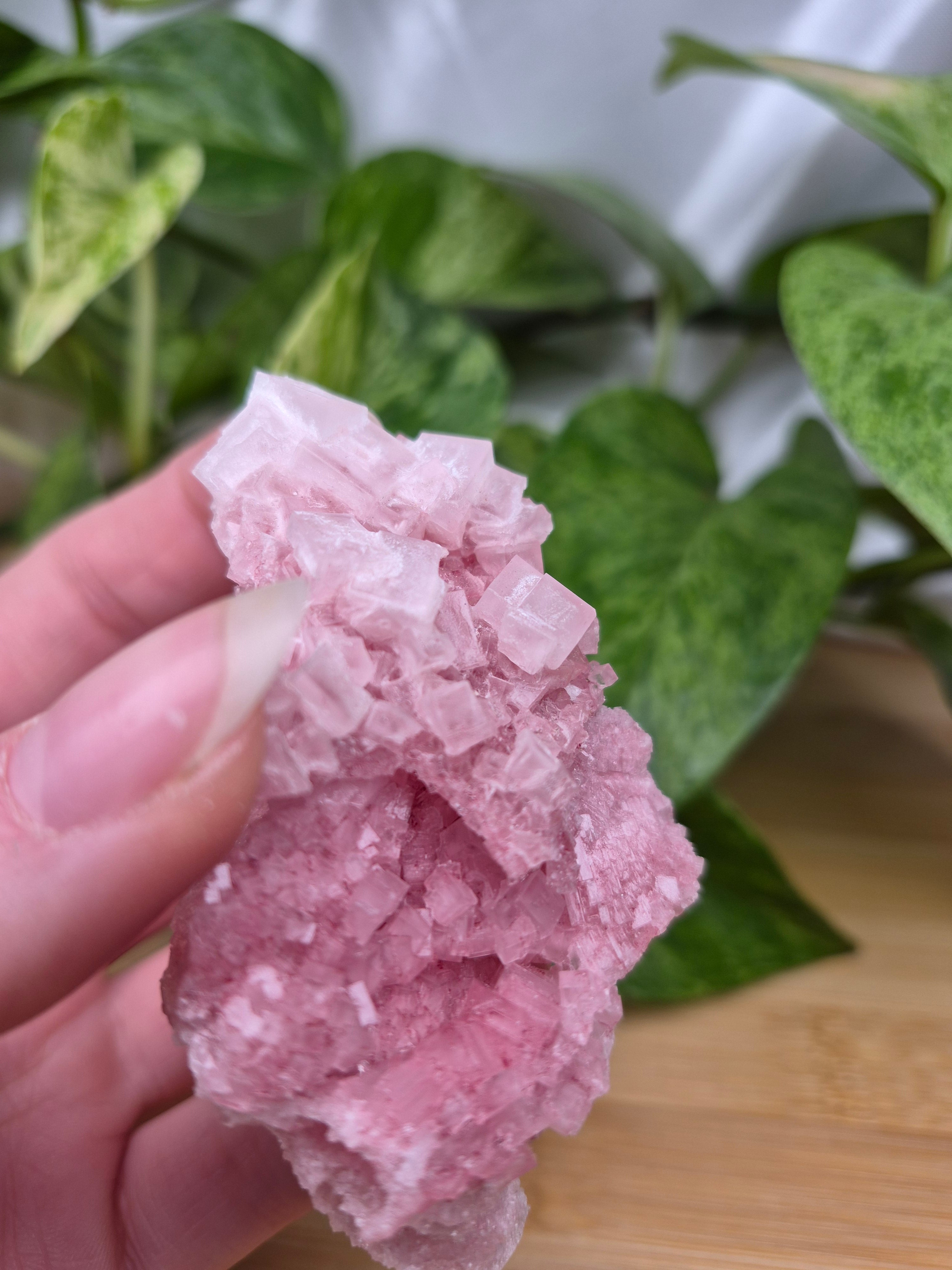 PINK HALITE SPECIMEN
