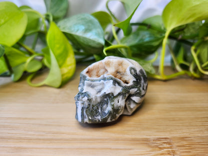 MOSS AGATE SKULL