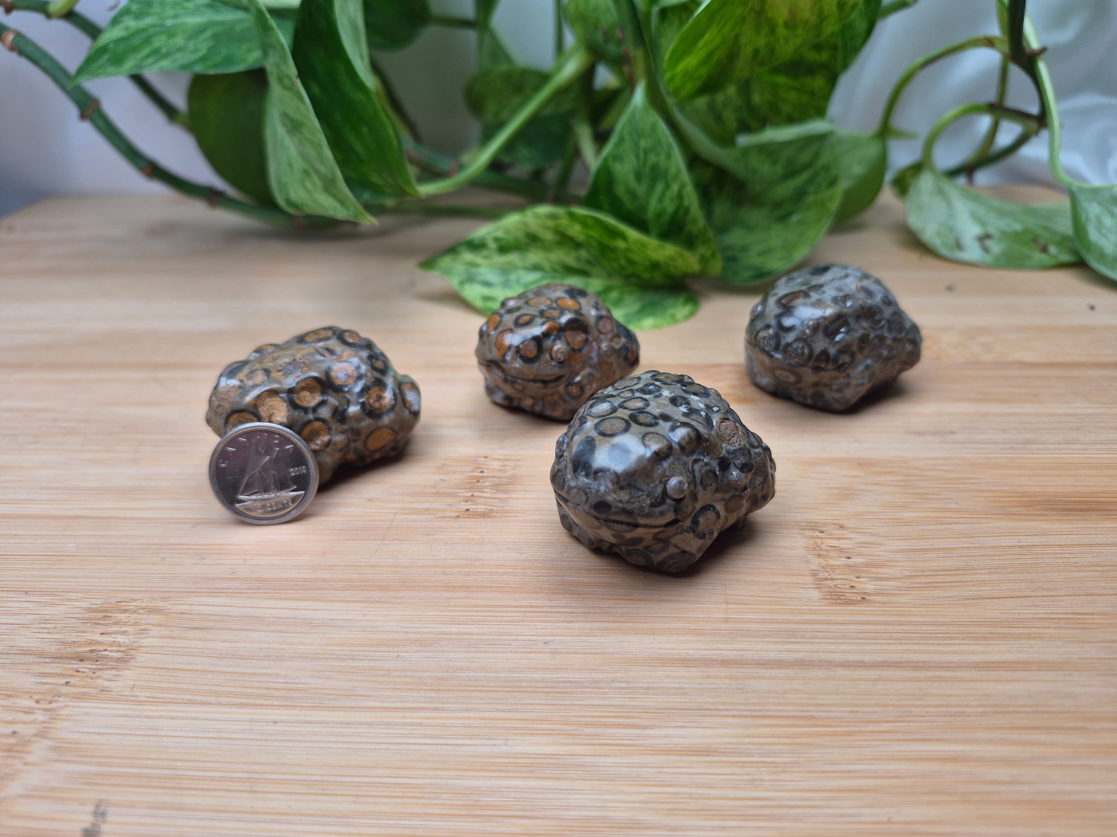 LEOPARDITE JASPER TOAD