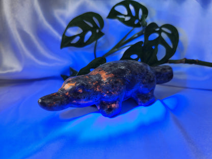 YOOPERLITE PLATYPUS