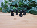 OBSIDIAN LUNA CAT