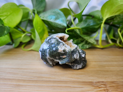 MOSS AGATE SKULL