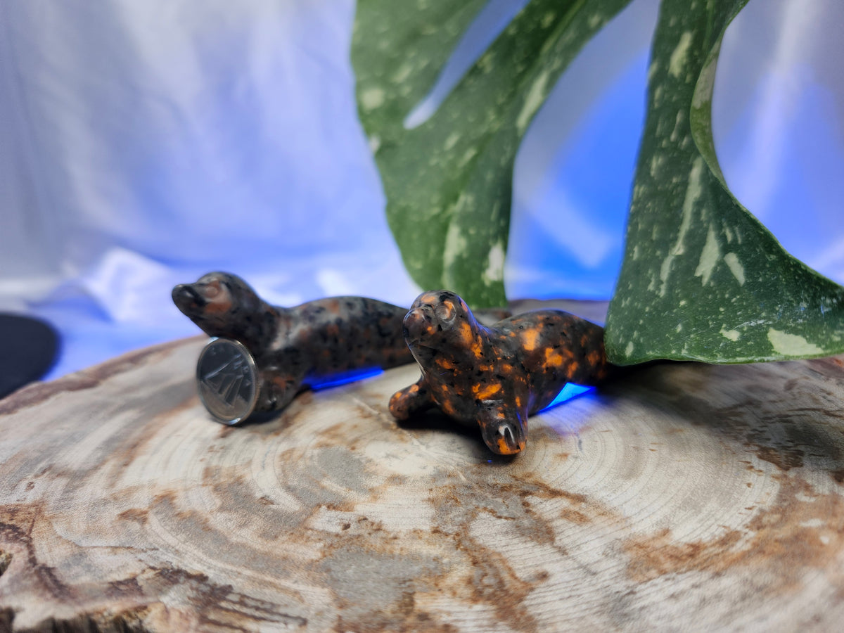YOOPERLITE SEAL