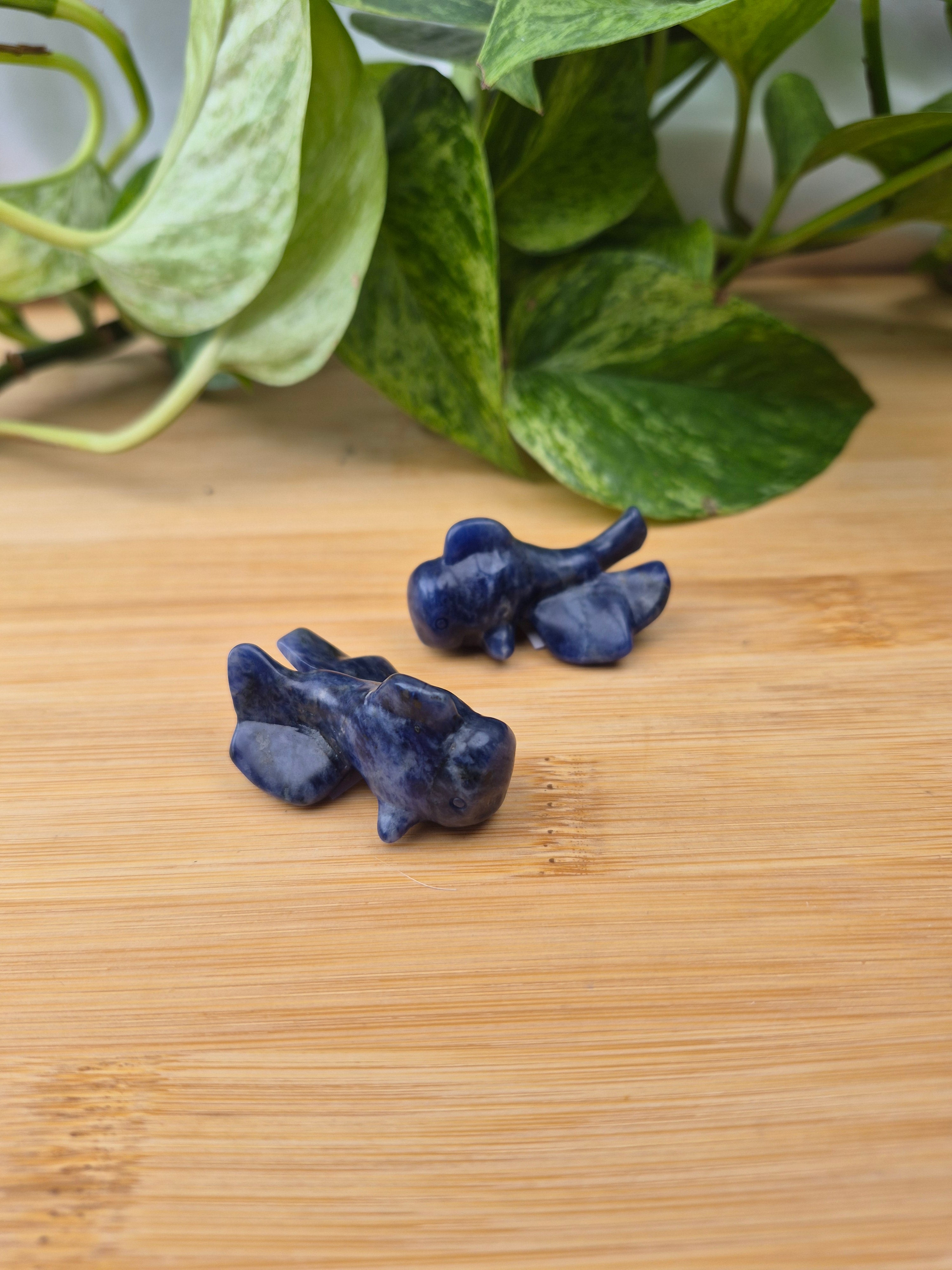 SODALITE GOLDFISH