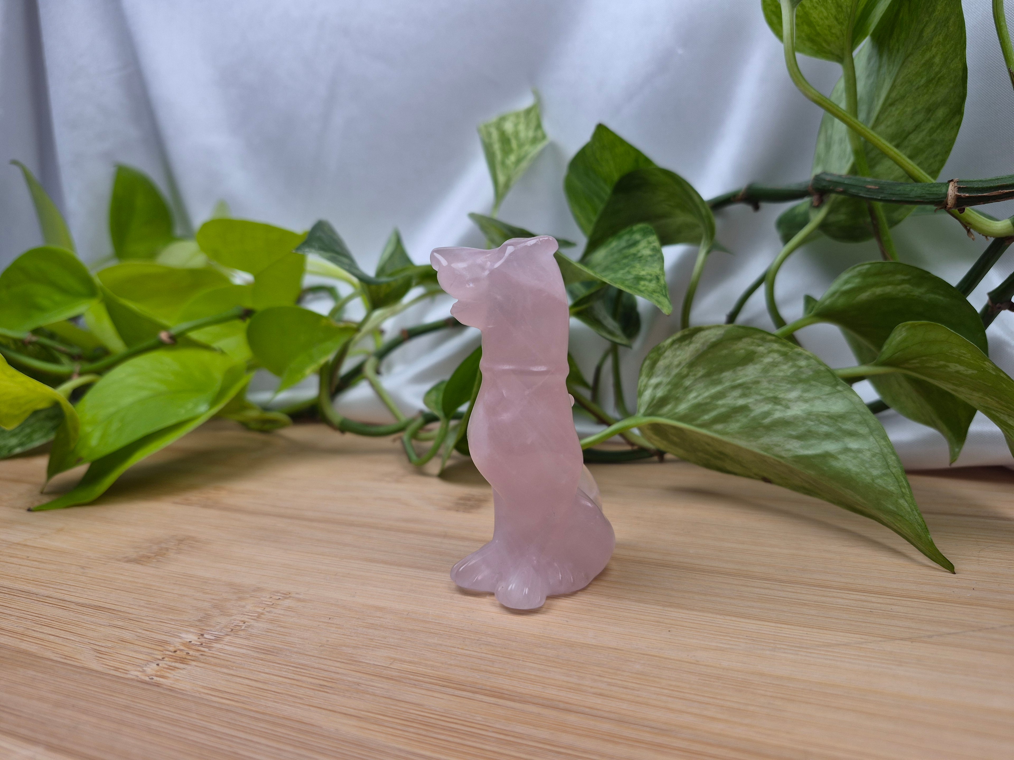 ROSE QUARTZ SCOOBY DOO