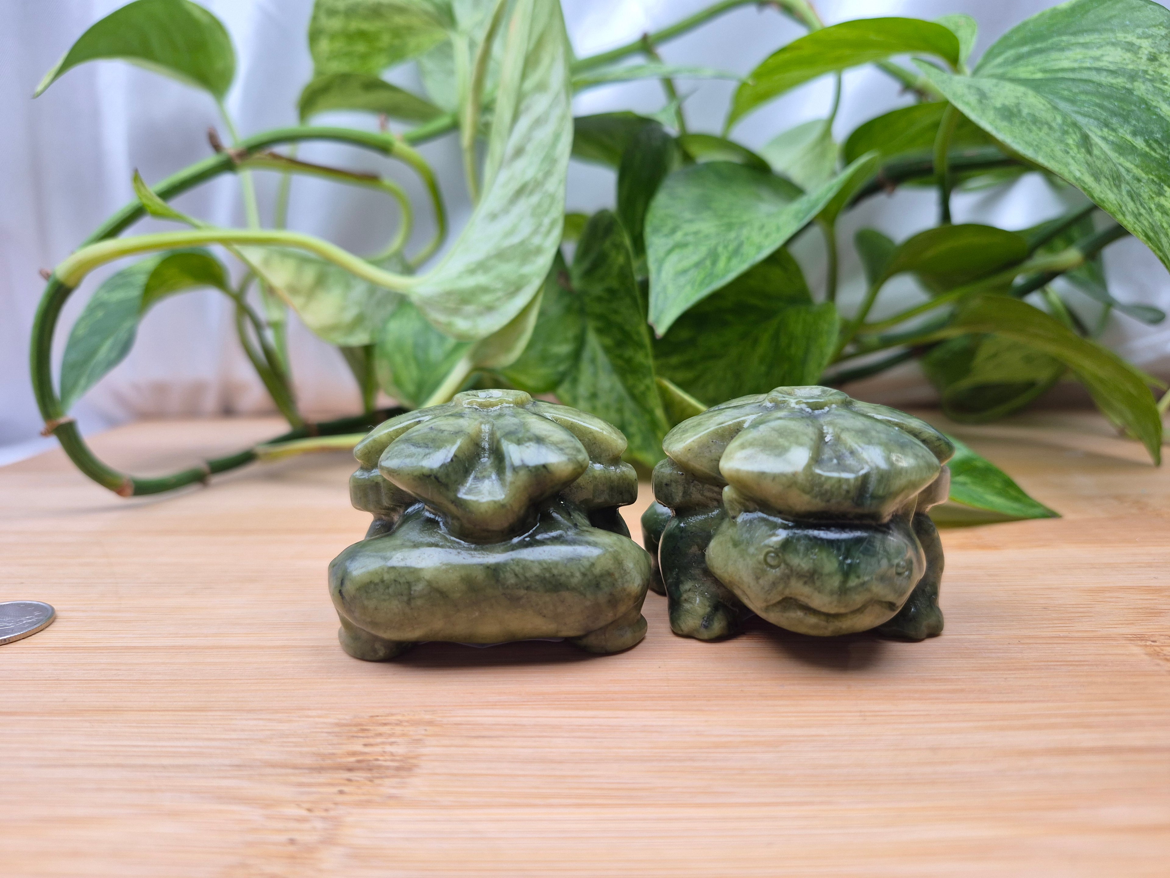JADE VENUSAUR