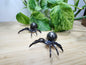 PYRITE SPIDER