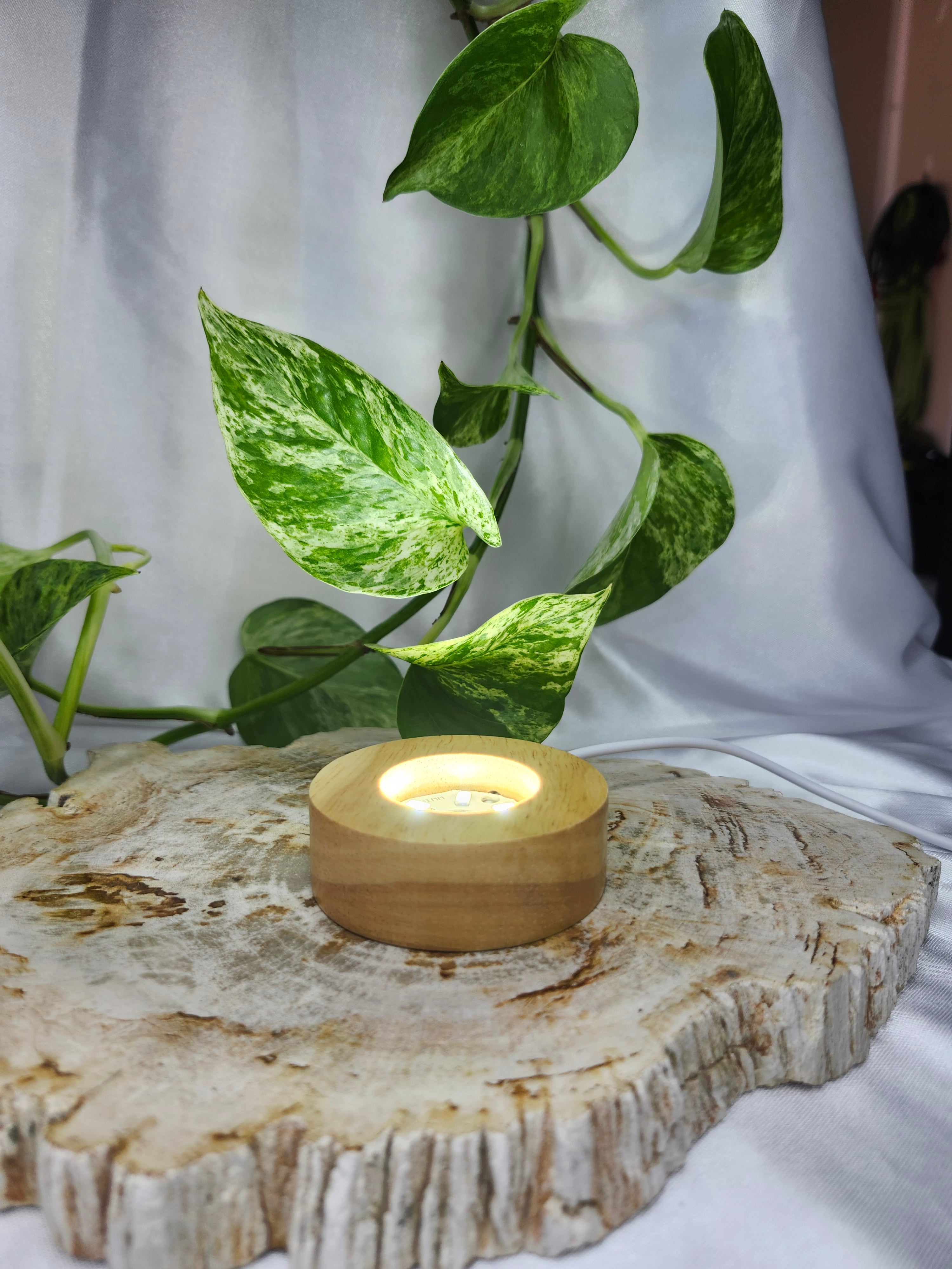 LIGHT BASE SMALL CIRCLE - WHITE