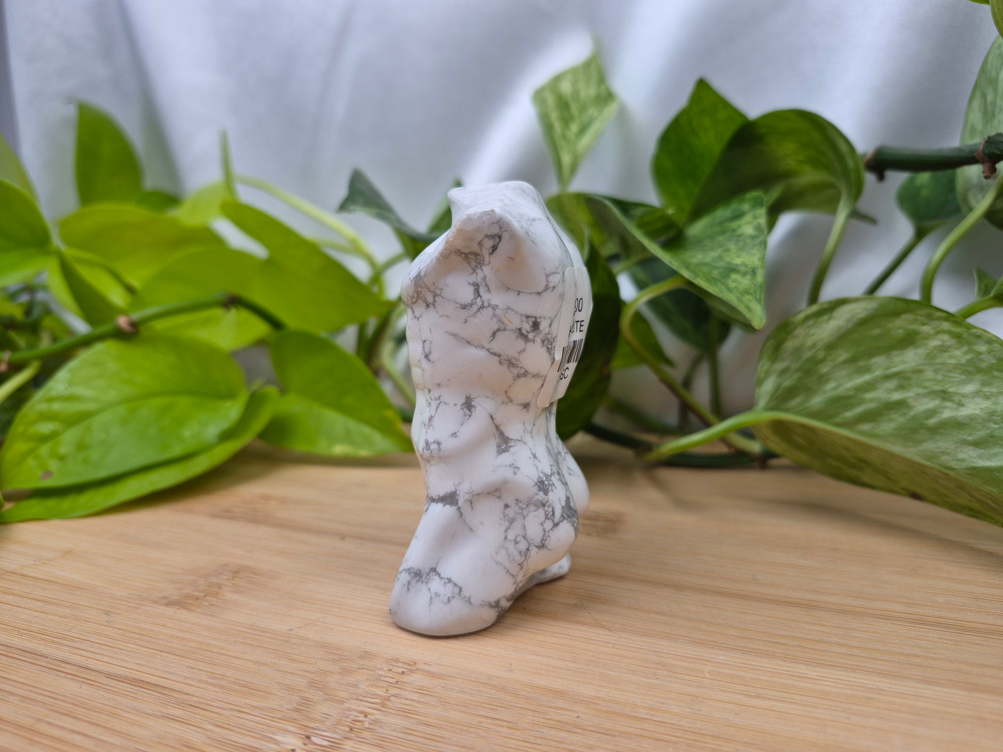 HOWLITE MAN BODY