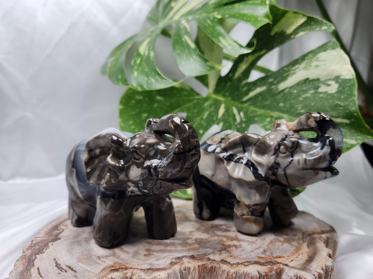 VOLCANO AGATE ELEPHANT