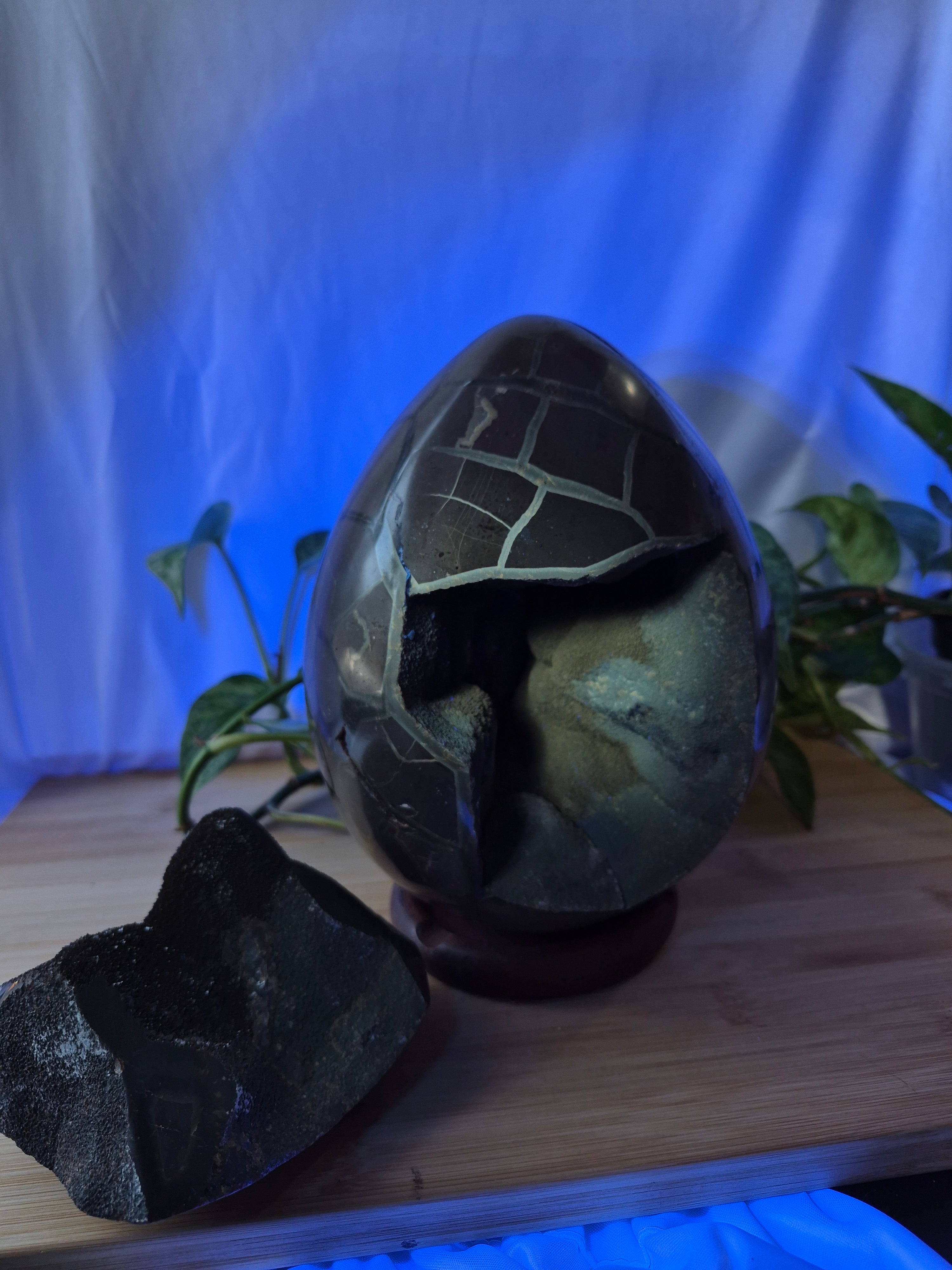 SEPTARIAN DRAGON EGG