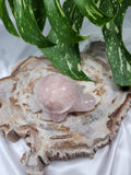 ROSE QUARTZ TURTLE