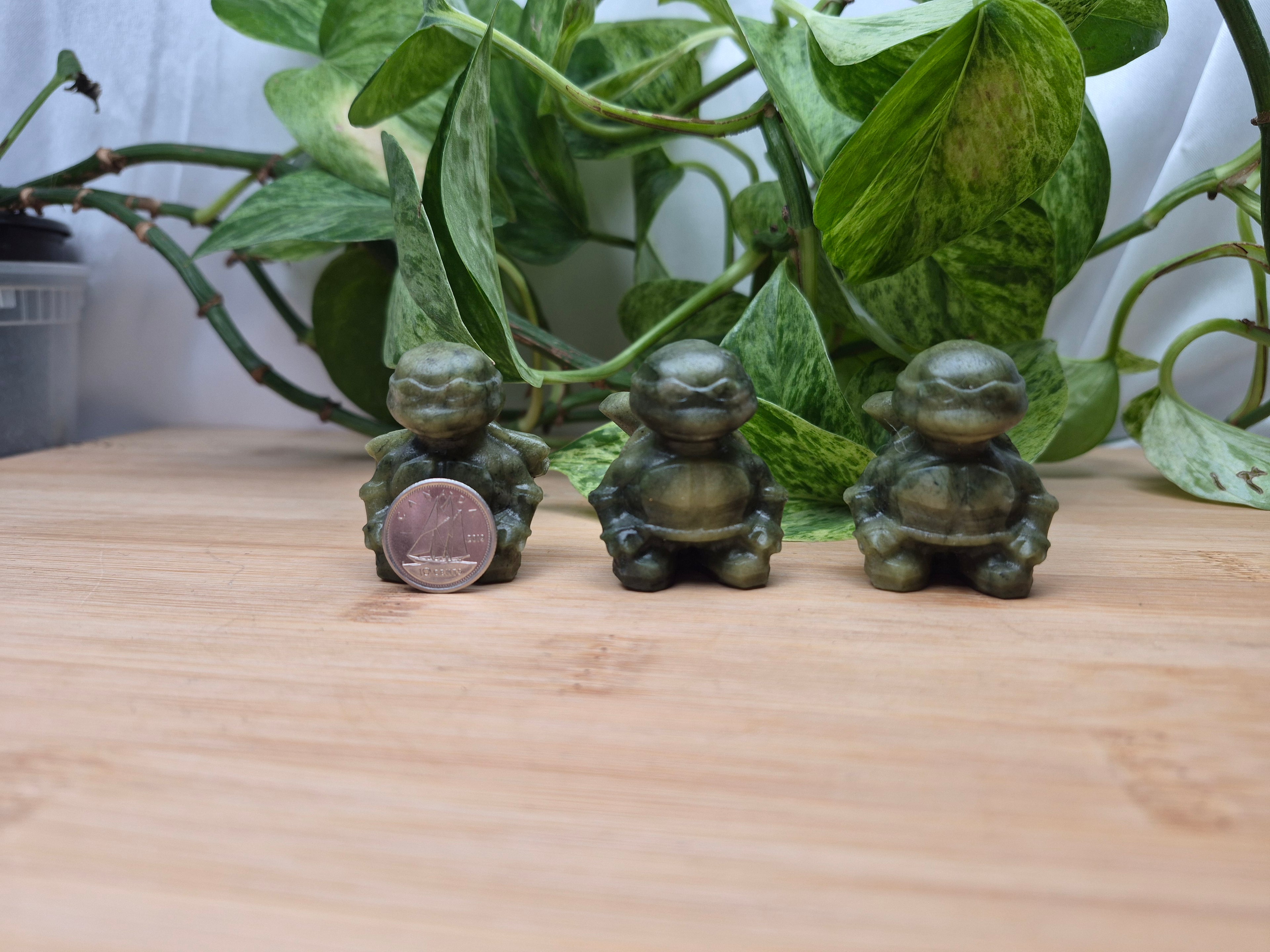 JADE TEENAGE MUTANT NINJA TURTLE