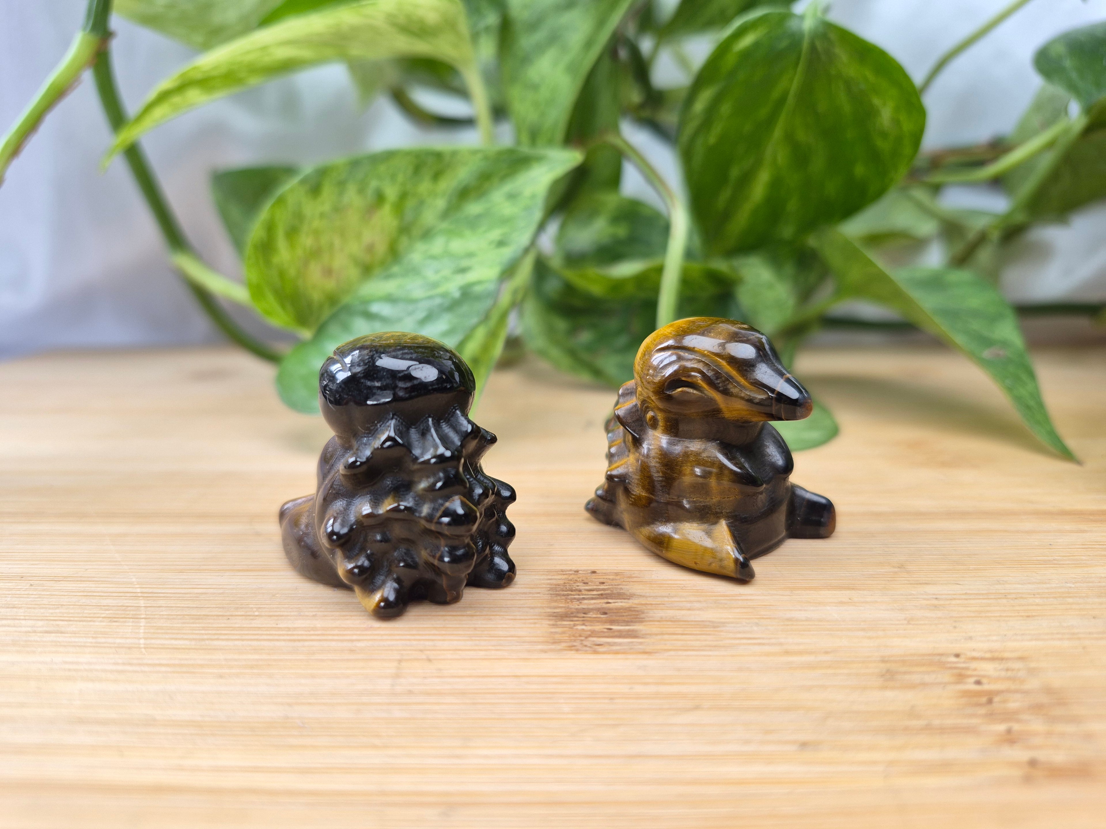 TIGERS EYE CYNDAQUIL