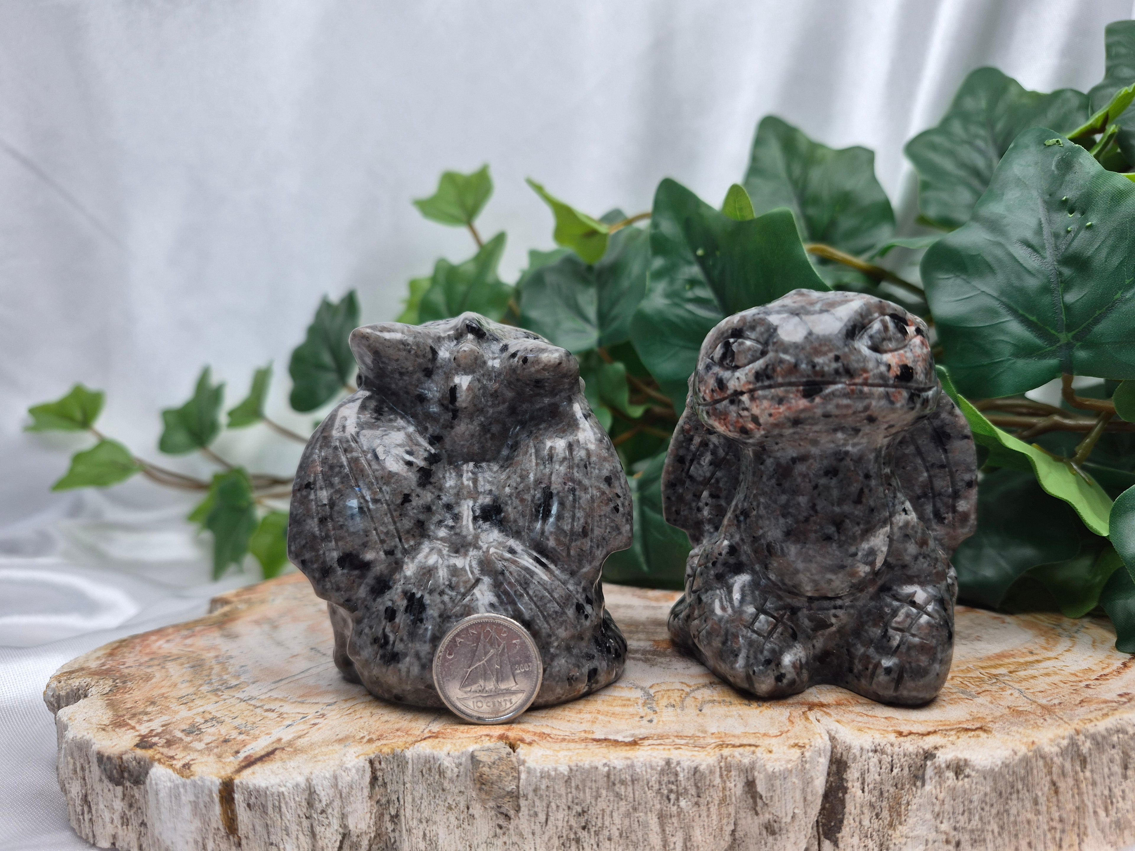 YOOPERLITE TOOTHLESS