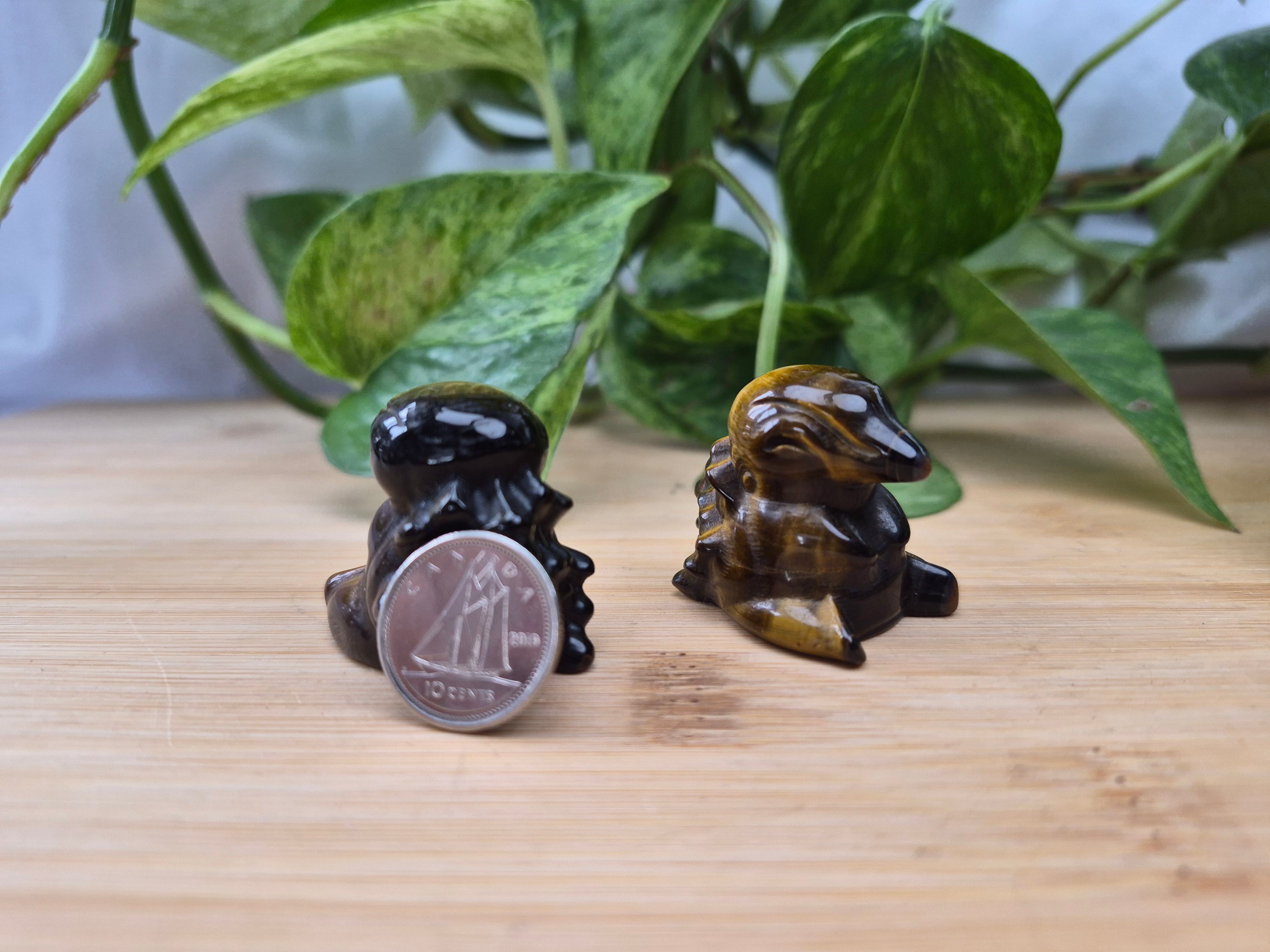 TIGERS EYE CYNDAQUIL