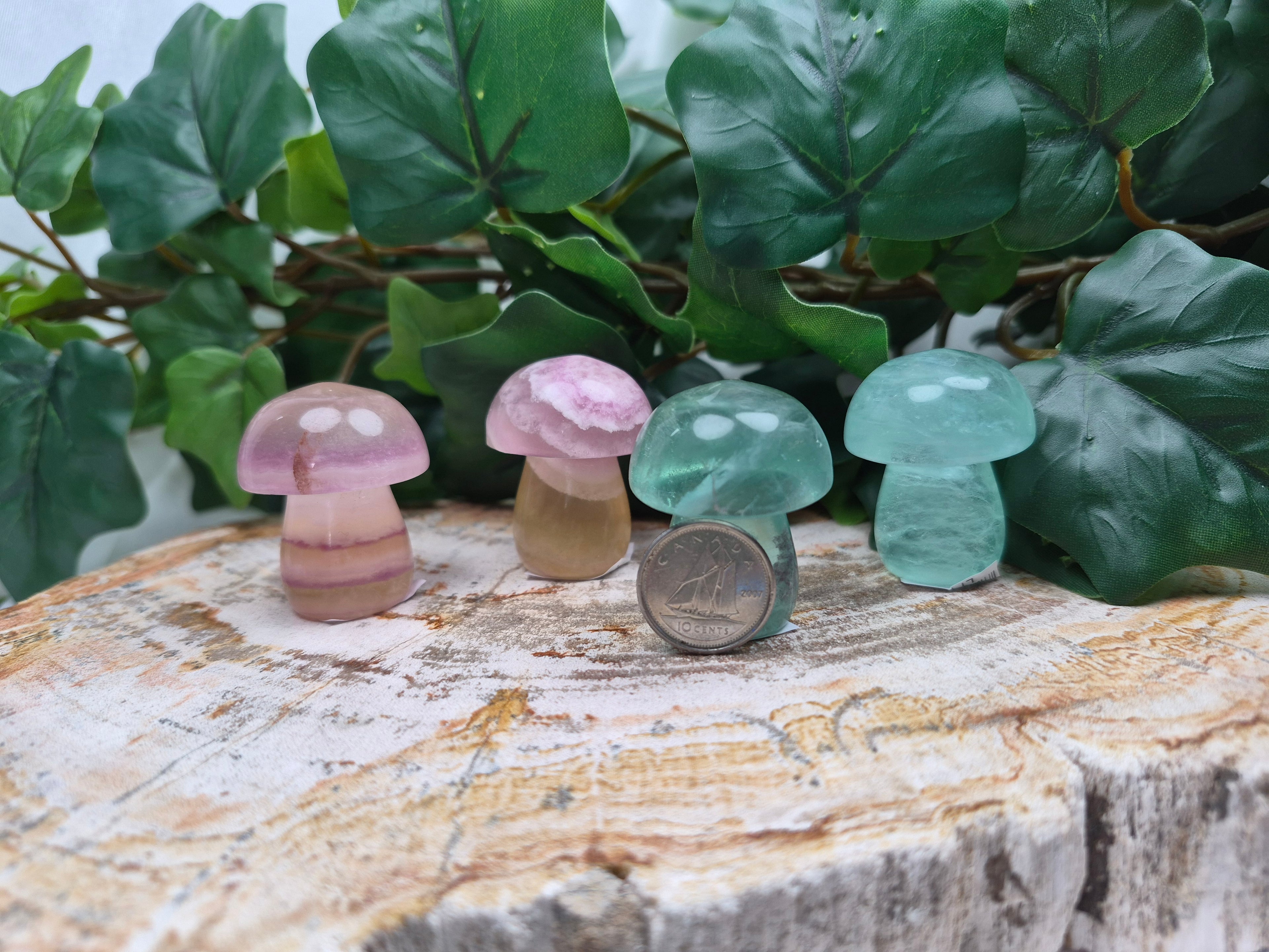 FLUORITE MUSHROOM