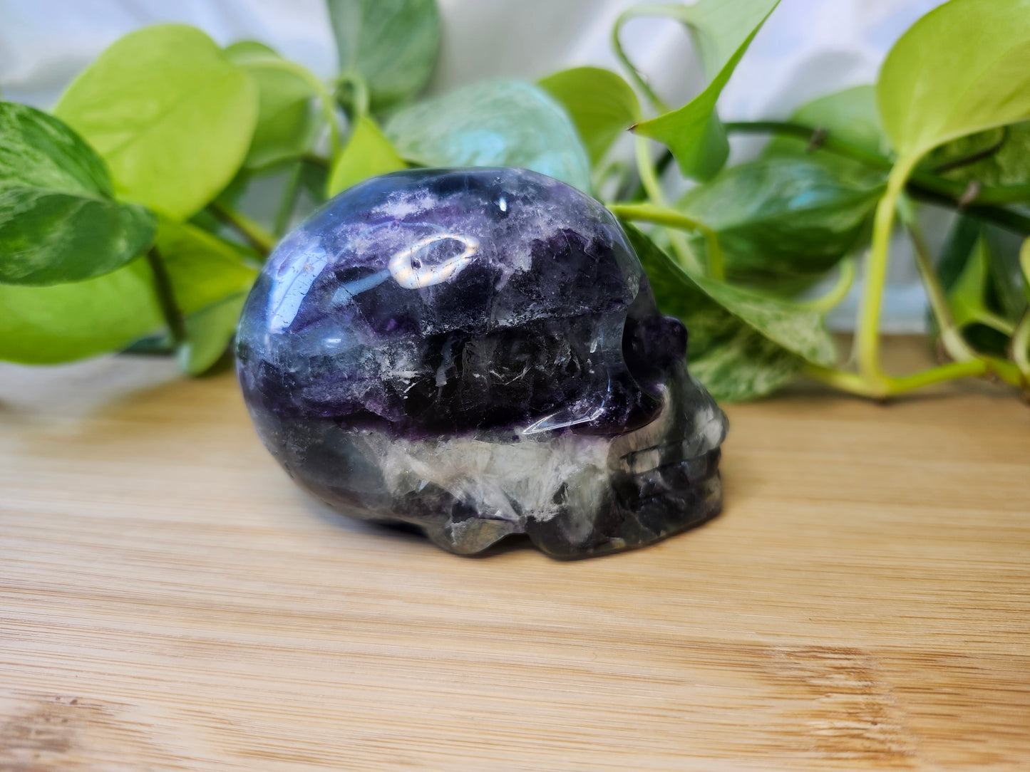 FEATHER FLUORITE SKULL