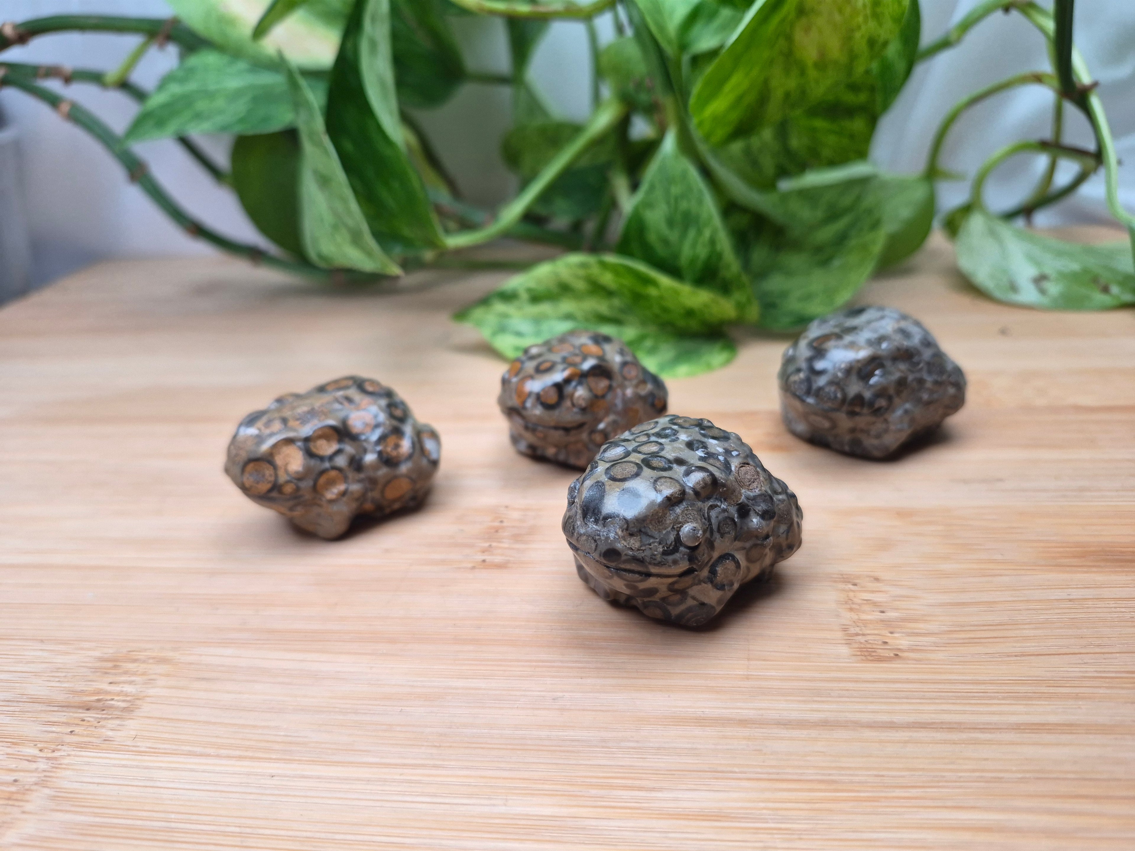LEOPARDITE JASPER TOAD