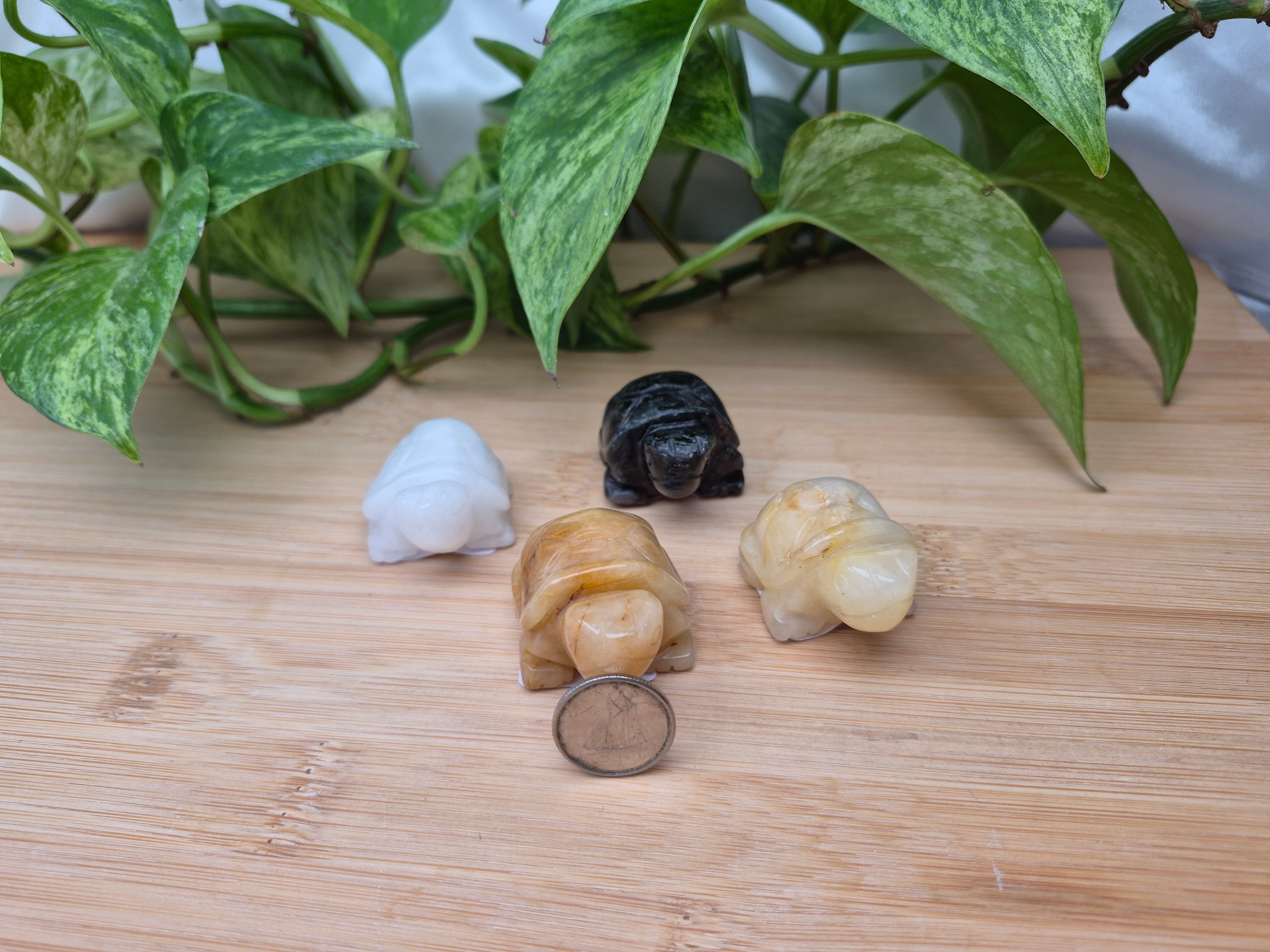 MIXED CRYSTAL TURTLE