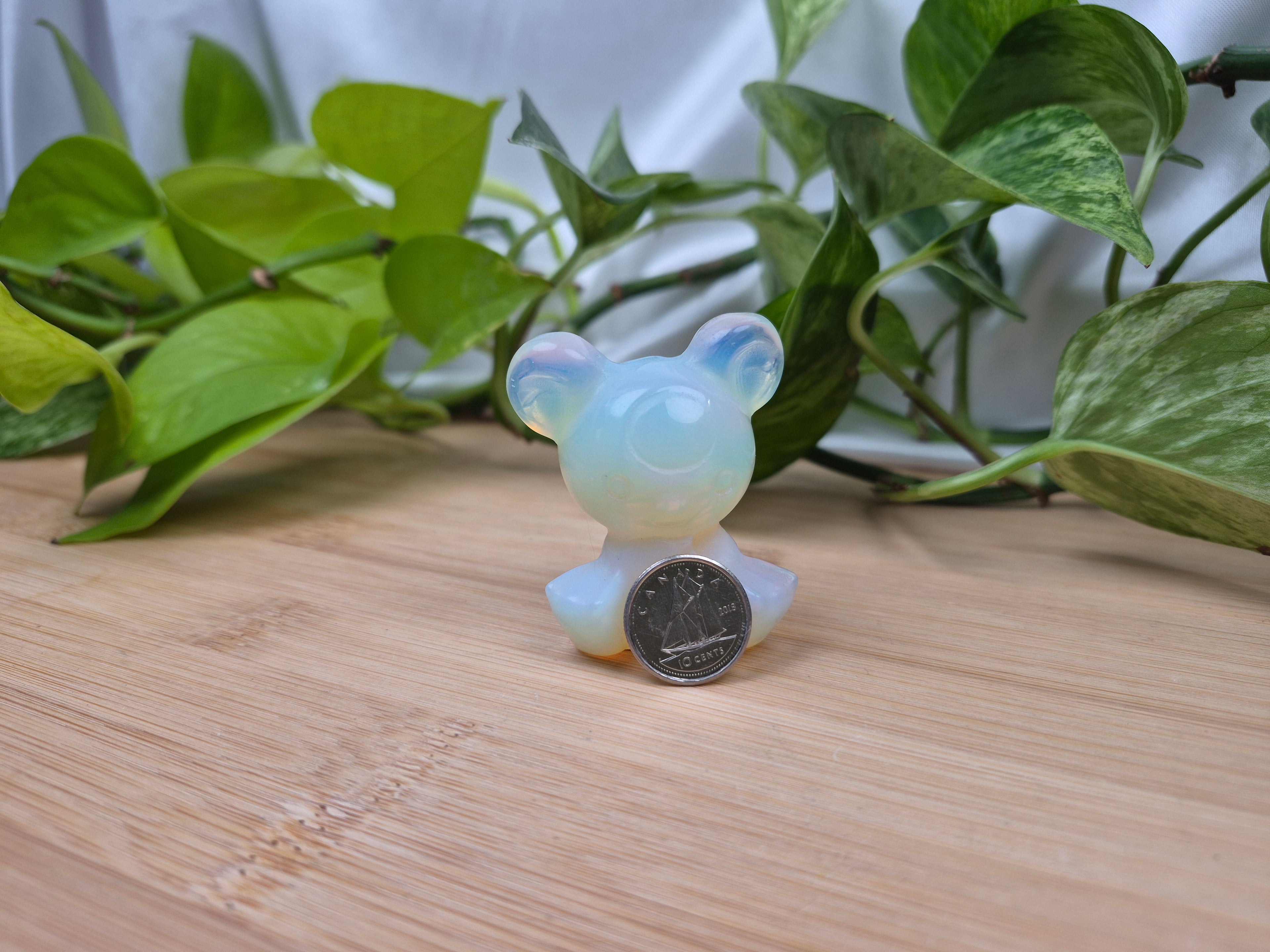 OPALITE TEDDIURSA